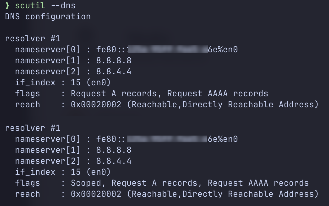 Output of scutil --dns on macOS showing resolver 1 with three nameservers: a link-local IPv6 address first, then 8.8.8.8 and 8.8.4.4