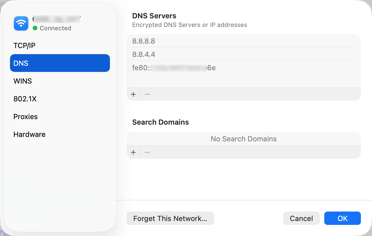 macOS DNS settings pane listing three greyed-out DNS servers in the order 8.8.8.8, 8.8.4.4, and a link-local fe80 address, under a heading reading Encrypted DNS Servers or IP addresses